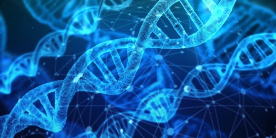 Dna para Irmãos Preço Tucuruvi - Dna Grau de Parentesco