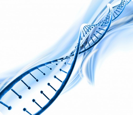 Dna para Irmãos Itu  - Dna em Grávida