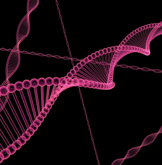 Exame de Dna Biologia Preço Itupeva  - Exame de Dna com a Saliva