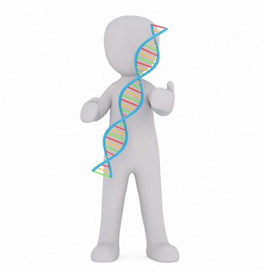 Exames de Dna Biologia Mooca - Exame de Dna Ainda na Gravidez