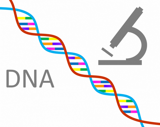 Exames de Dna Biritiba Mirim - Exame de Dna Antes do Nascimento