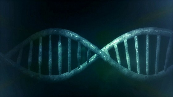 Exames de Paternidade Através do Dna Mailasqui - Exame de Paternidade Através do Dna