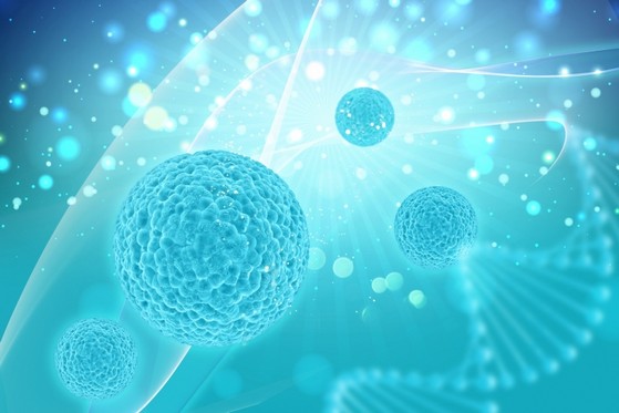 Laboratório para de Dna Doenças Ipiranga - Laboratório para de Dna Doenças