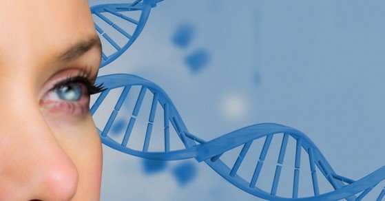 Laboratório para de Dna Genética Morumbi - Laboratório para de Dna Doenças Hereditárias