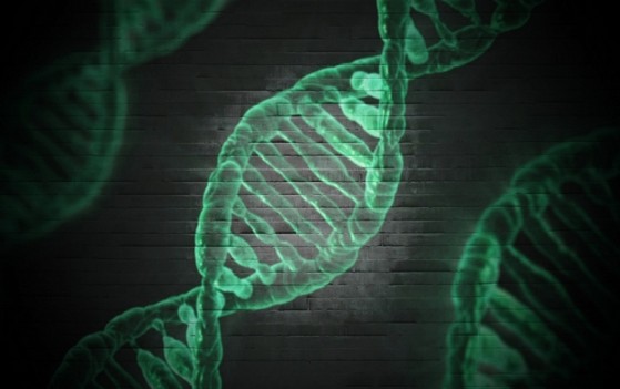 Laboratório para Exame de Dna Biologia em Sp Aeroporto - Laboratório para Exame de Dna na Gravidez