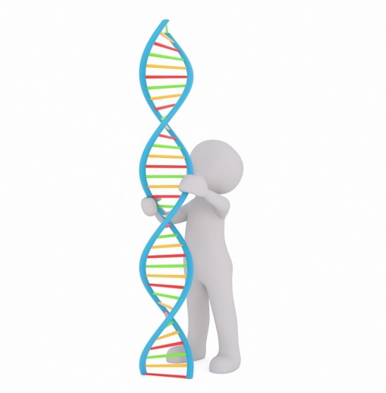 Laboratório para Exame de Paternidade Dna Barueri  - Laboratório para Exame de Paternidade em Gêmeos Univitelinos