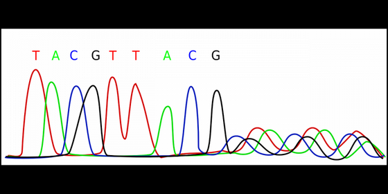 Laboratórios para de Dna Barato Carandiru - Laboratório para de Dna Doenças Hereditárias