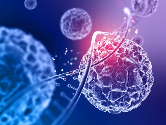 Onde Encontro Laboratório para de Dna Doenças Alto do Pari - Laboratório para de Dna Apos Nascimento