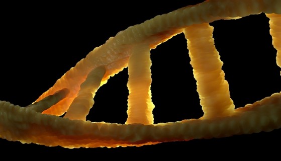 Quanto Custa Dna Cidade Dutra - Dna Grau de Parentesco