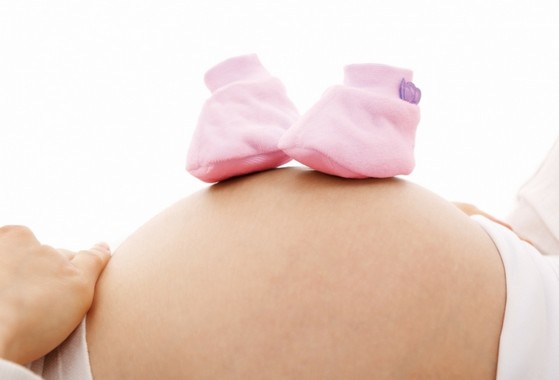 Sexagem Fetal Kit Serra da Cantareira - Exame de Sexagem Fetal