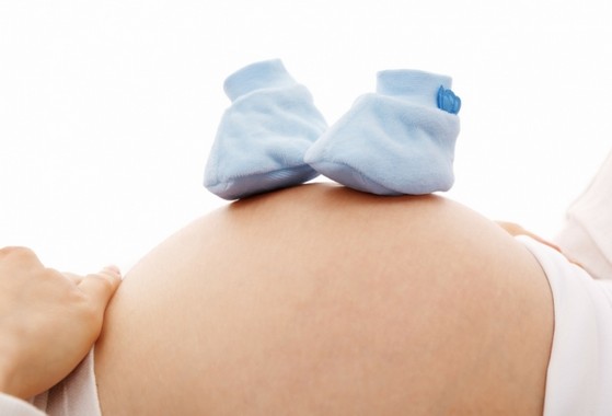Sexagem Fetal Masculino Mendonça  - Sexagem Fetal Kit