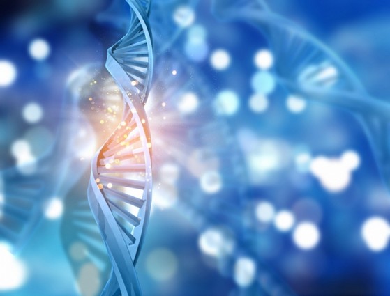 Teste de Dna Doenças Preço Pirituba - Teste de Dna