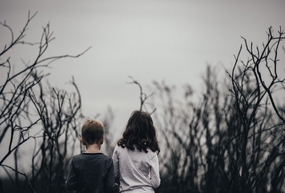 Teste de Paternidade entre Irmãos Poá - Teste de Paternidade entre Irmãos