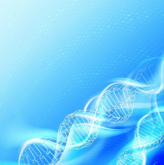 Testes de Dna Barato Cidade Tiradentes - Teste de Dna Feto