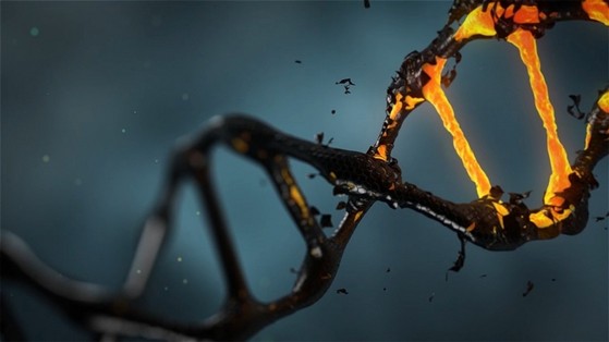 Testes de Dna Aeroporto - Teste de Dna de Paternidade