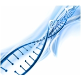 dna para irmãos Lapa