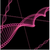 exame de dna biologia preço Louveira 