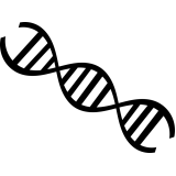 exame de dna preço Higienópolis