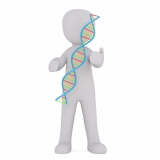 exames de dna biologia Guaianases