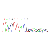 exame de dna