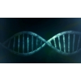 exames de paternidade através do dna Belém