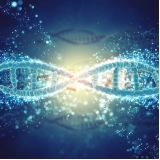 laboratório para exame de paternidade através do dna em sp Tremembé