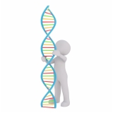 laboratório para exame de paternidade dna Mooca