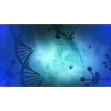 testes de paternidade através do dna Suzano